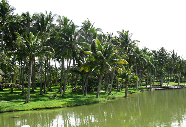 只有創(chuàng)新產(chǎn)品，才能占據(jù)市場主導(dǎo)地位